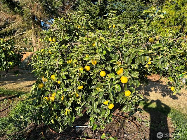 51 W Lancaster Lane, Port Angeles, WA 98362