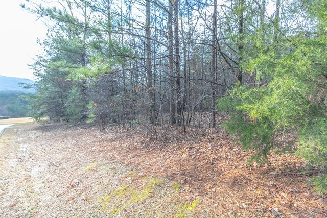 Lot 2 Hillside Drive, Rocky Face, GA 30740