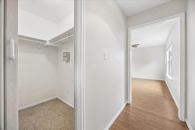 10712 Marshitahs WAY, Austin, TX 78748