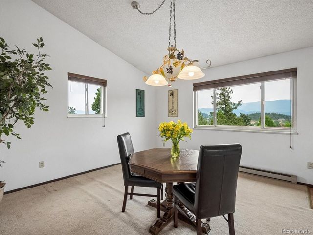 55 Deer Trail Dr, Bailey, CO 80421