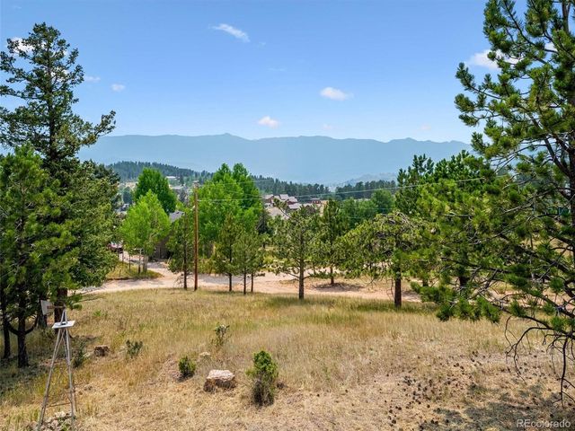 55 Deer Trail Dr, Bailey, CO 80421