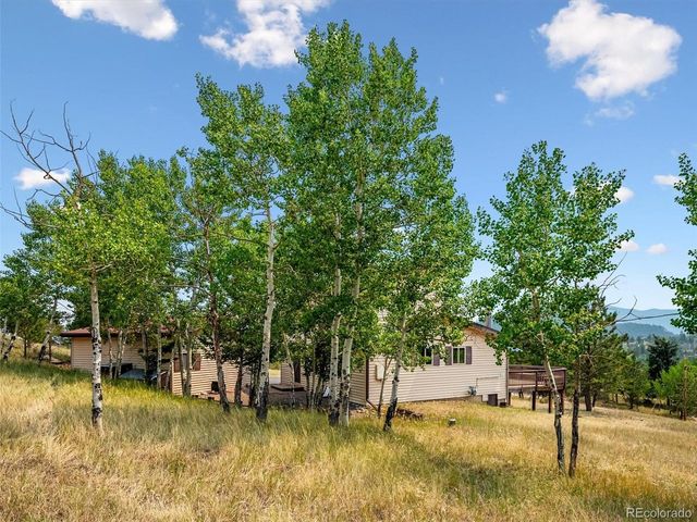 55 Deer Trail Dr, Bailey, CO 80421
