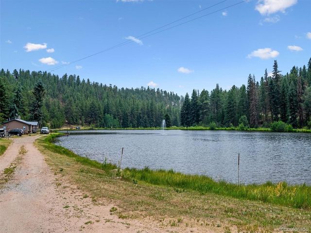 55 Deer Trail Dr, Bailey, CO 80421