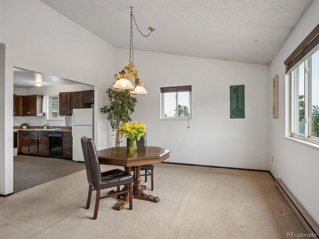 55 Deer Trail Dr, Bailey, CO 80421