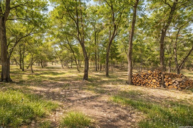 408 Rust Ranch Rd, Blanco, TX 78606