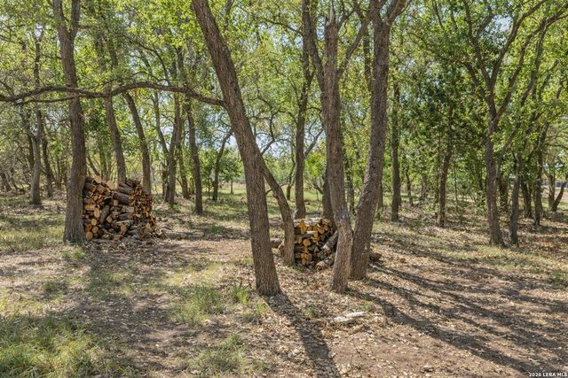 408 Rust Ranch Rd, Blanco, TX 78606