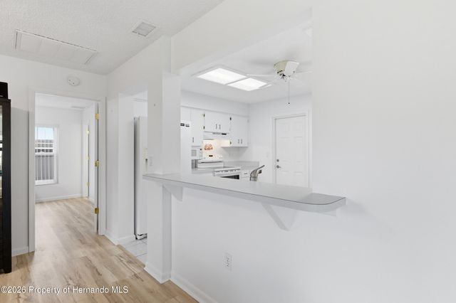 12324 Drayton Drive, Spring Hill, FL 34609