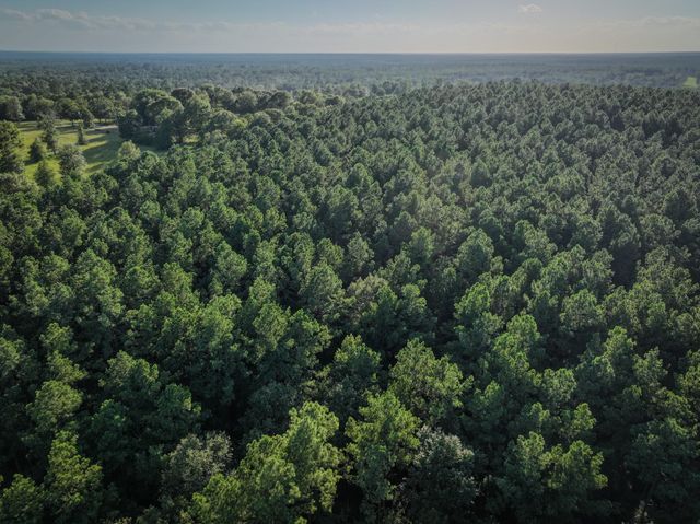 TBD Old Hwy 287, Groveton, TX 75845