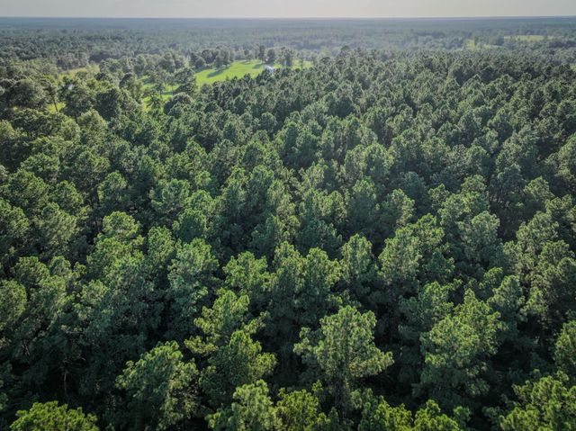 TBD Old Hwy 287, Groveton, TX 75845