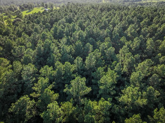 TBD Old Hwy 287, Groveton, TX 75845