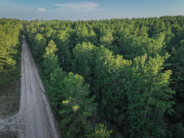 TBD Old Hwy 287, Groveton, TX 75845