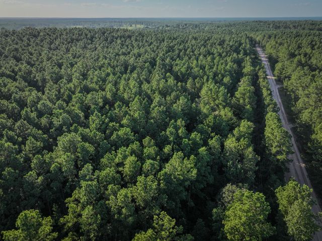 TBD Old Hwy 287, Groveton, TX 75845