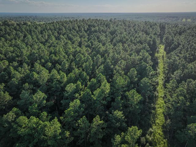 TBD Old Hwy 287, Groveton, TX 75845