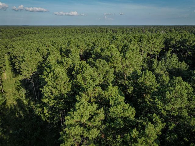 TBD Old Hwy 287, Groveton, TX 75845