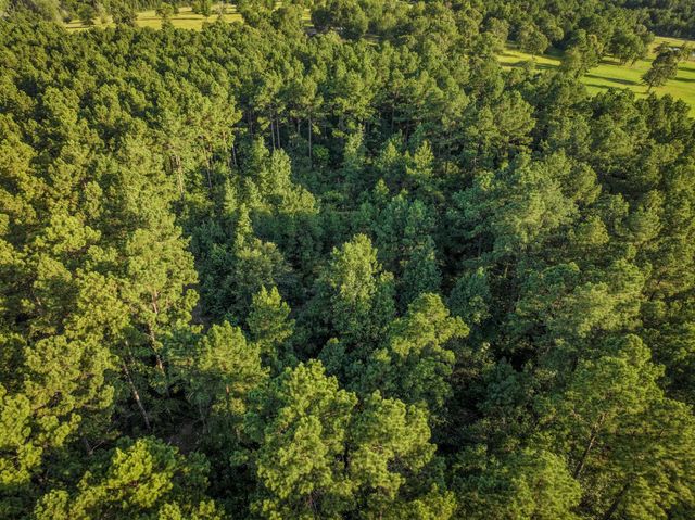 TBD Old Hwy 287, Groveton, TX 75845