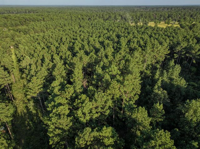 TBD Old Hwy 287, Groveton, TX 75845