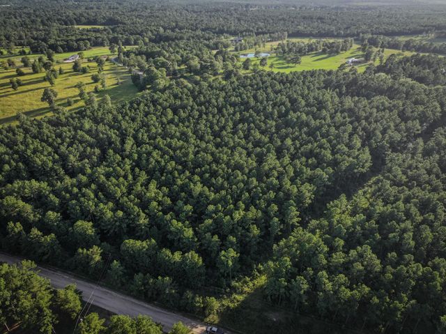 TBD Old Hwy 287, Groveton, TX 75845