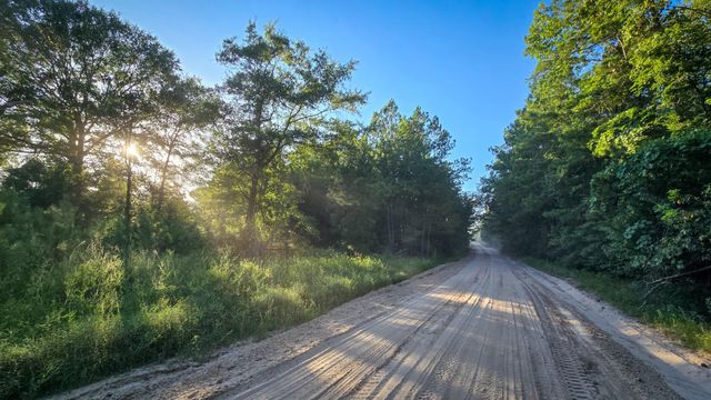 TBD Old Hwy 287, Groveton, TX 75845