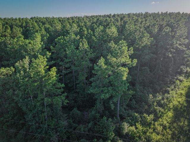 TBD Old Hwy 287, Groveton, TX 75845