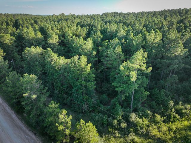 TBD Old Hwy 287, Groveton, TX 75845