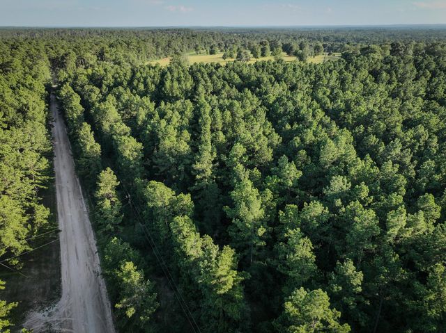 TBD Old Hwy 287, Groveton, TX 75845