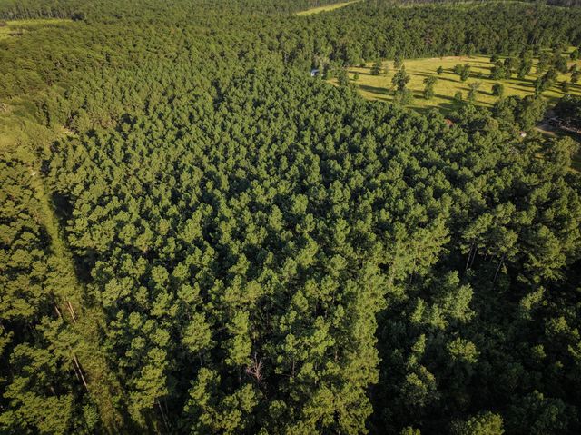 TBD Old Hwy 287, Groveton, TX 75845