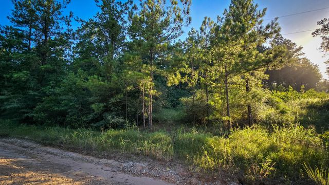 TBD Old Hwy 287, Groveton, TX 75845