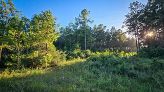 TBD Old Hwy 287, Groveton, TX 75845