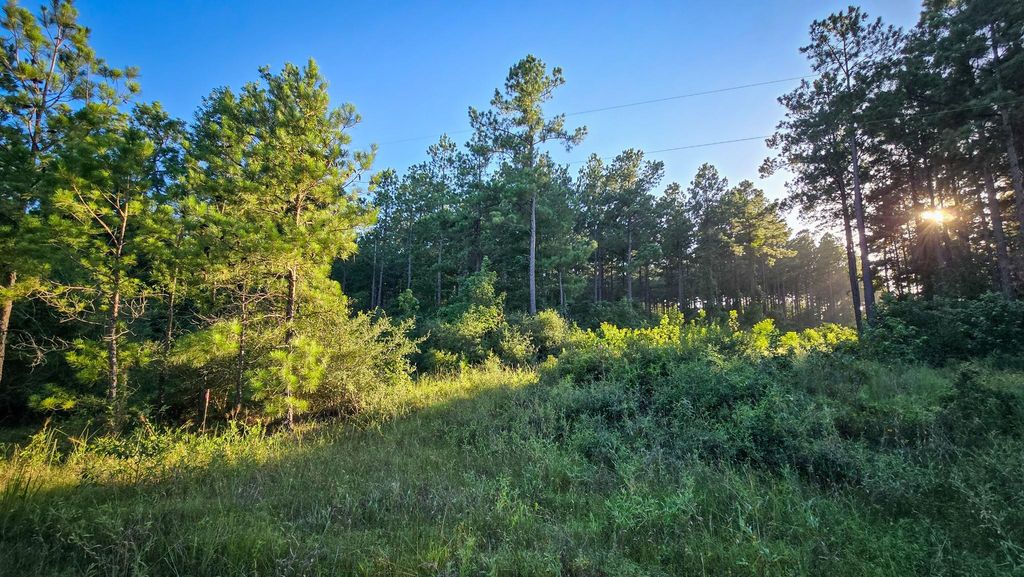 TBD Old Hwy 287, Groveton, TX 75845