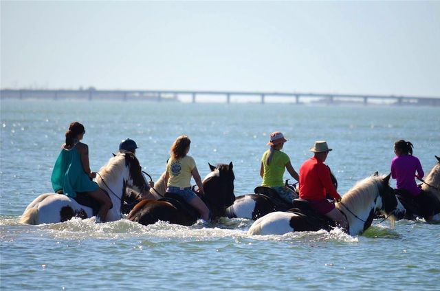 3608 54TH DRIVE W 202, Bradenton, FL 34210