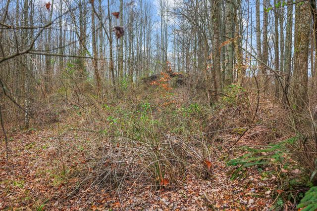 77 Barnett Road, Russell Springs, KY 42642