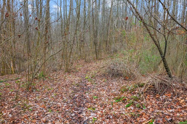 77 Barnett Road, Russell Springs, KY 42642