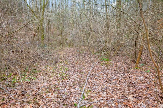 77 Barnett Road, Russell Springs, KY 42642