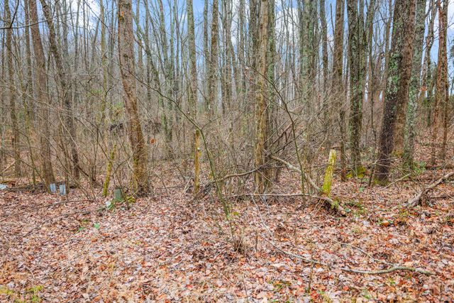 77 Barnett Road, Russell Springs, KY 42642