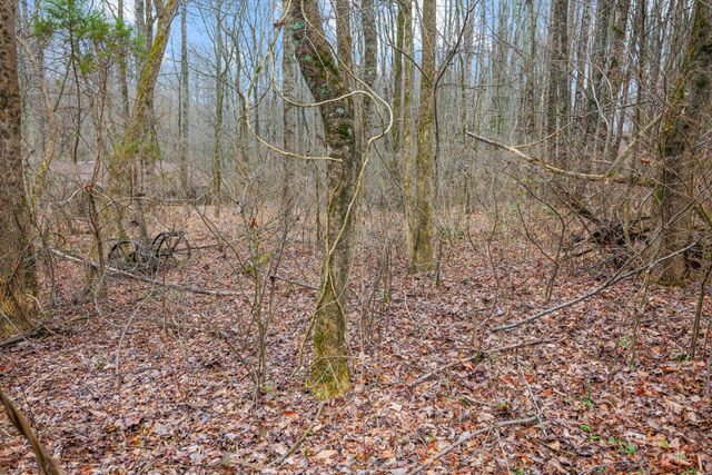 77 Barnett Road, Russell Springs, KY 42642