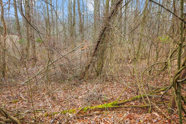 77 Barnett Road, Russell Springs, KY 42642