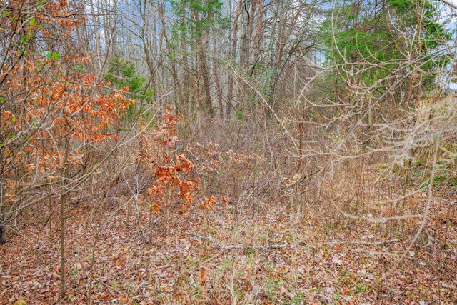 77 Barnett Road, Russell Springs, KY 42642