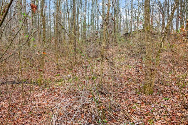 77 Barnett Road, Russell Springs, KY 42642