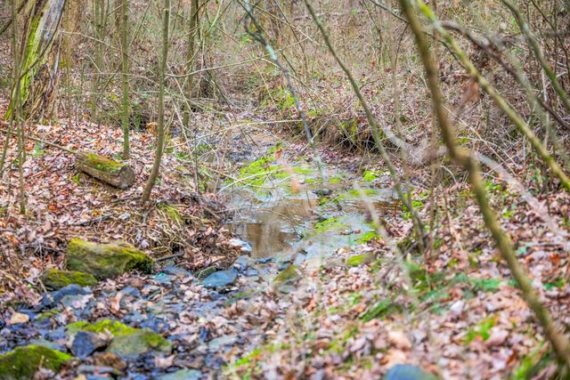 77 Barnett Road, Russell Springs, KY 42642