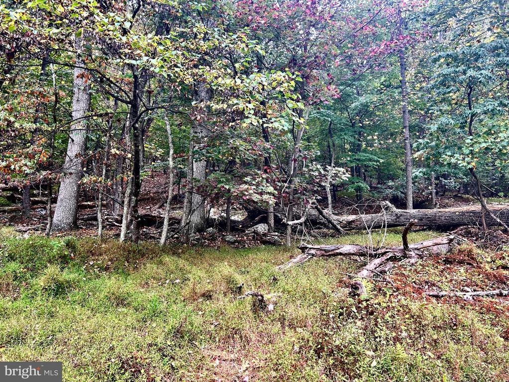 LOT 16 DEWDROP LANE, Hedgesville, WV 25427
