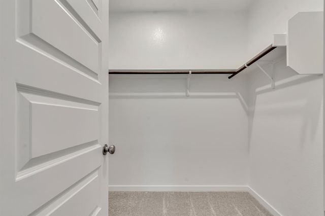 212 Bendecido LOOP, Elgin, TX 78621