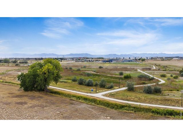 14443 Williams St, Thornton, CO 80602