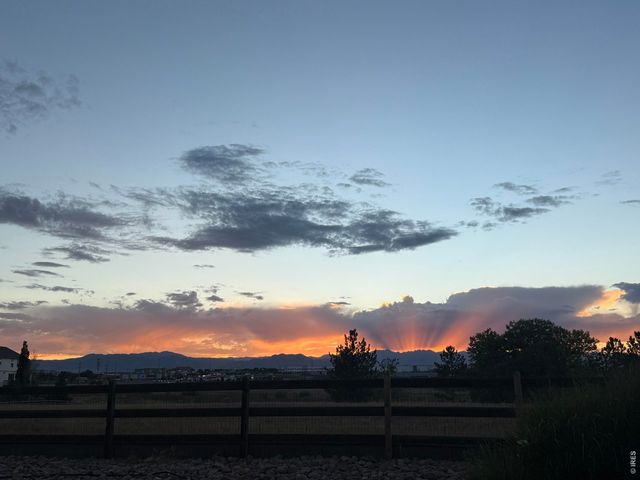 14443 Williams St, Thornton, CO 80602
