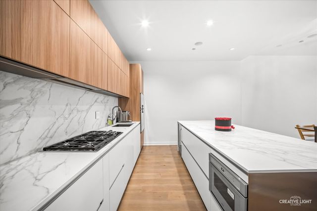 204 N Park Drive, Chicago, IL 60601