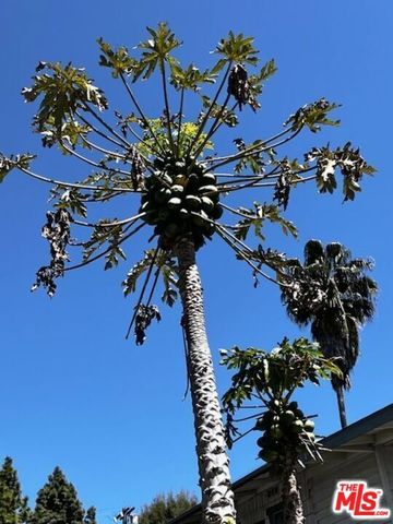 5633 La Mirada Avenue, Los Angeles, CA 90038