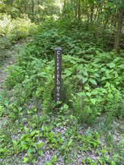 0 Cherry Hill None 202, Mill Spring, NC 28756