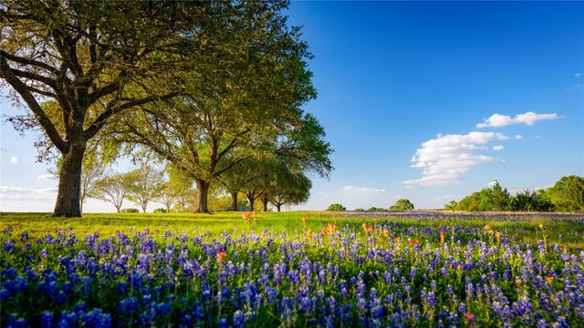 5701 Bovista Road, Navasota, TX 77868