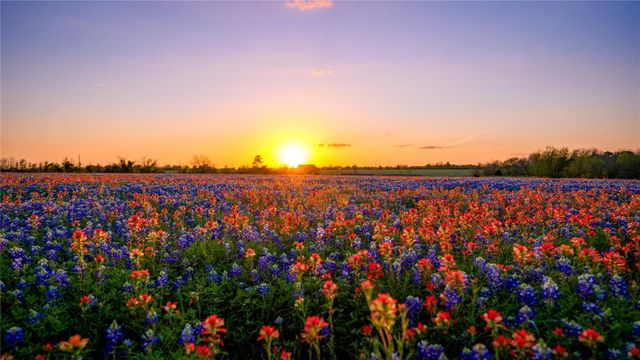 5701 Bovista Road, Navasota, TX 77868