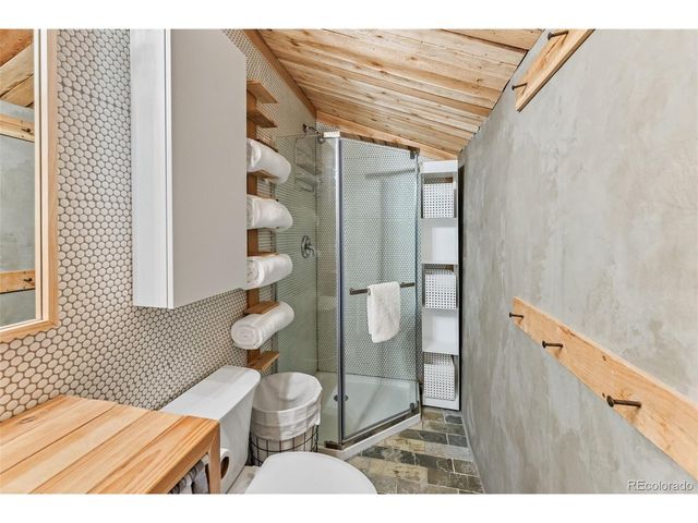 932 Peterson Dr, Alma, CO 80420