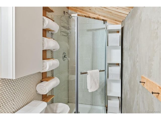 932 Peterson Dr, Alma, CO 80420
